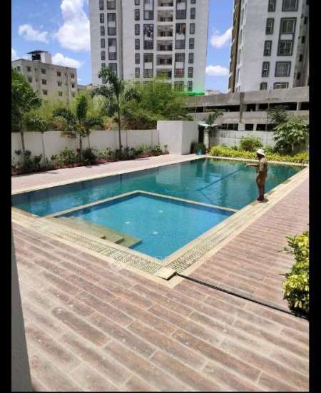 2 BHK Flat In Green Life for Rent  In Hinjawadi