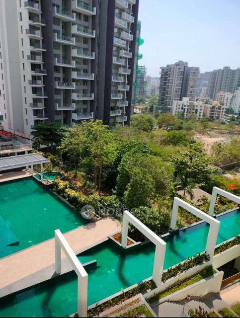 Single Room for Male In 3 BHK  In Kalpataru Jade In Baner