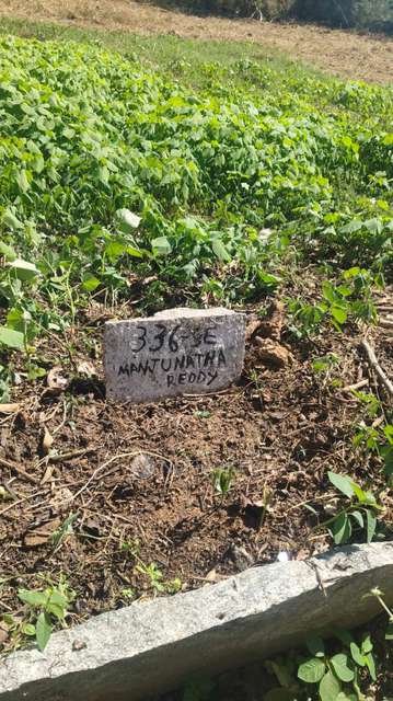 Plot For Sale  In Nisarga Nandana In Nisarga Nandana Residential Township