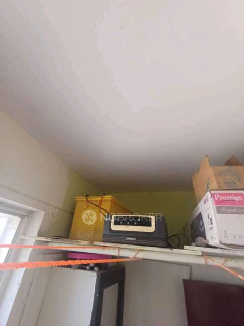 2 BHK Flat In Windsor Maple Woodz for Rent  In Wagholi