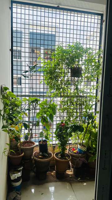 3 BHK Flat In Mahankali Sree Lakshmi Residency, Kushaiguda For Sale  In Kushaiguda