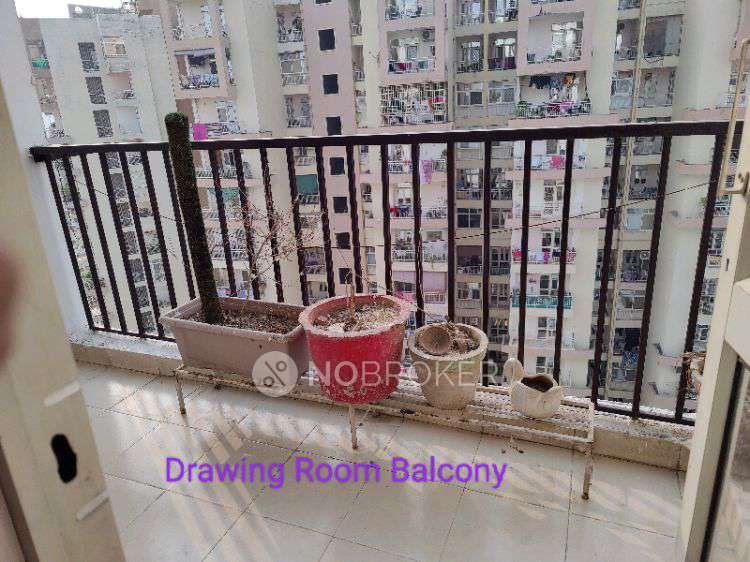 3 BHK Flat In Panchsheel Greens 1, Sector 16b for Rent  In Sector 16b