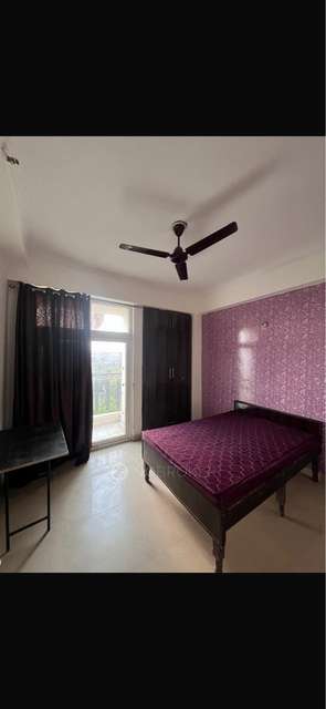 Single Room for Male In 3 BHK  In Amrapali Princely Estate In Sector 76