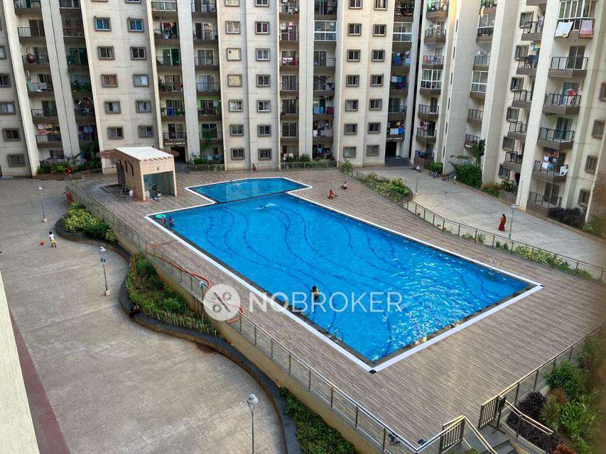 2 BHK Flat In Suncity Gloria Apartments for Rent  In Sarjapur Road