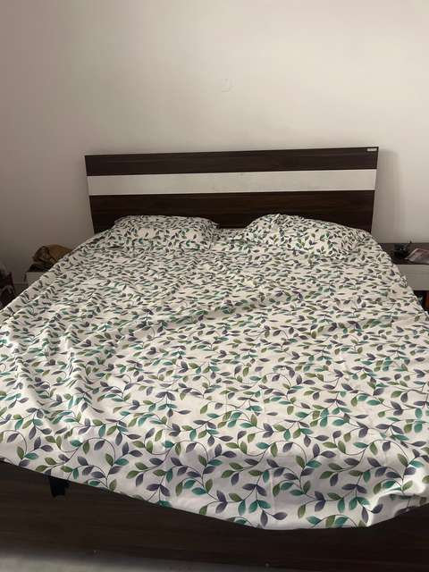 3 BHK House for Rent  In Sector 9