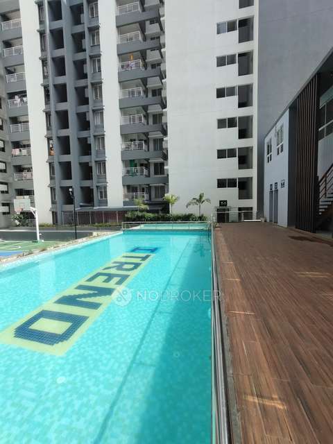 2 BHK Flat In Itrend Waterfront for Rent  In Ravet