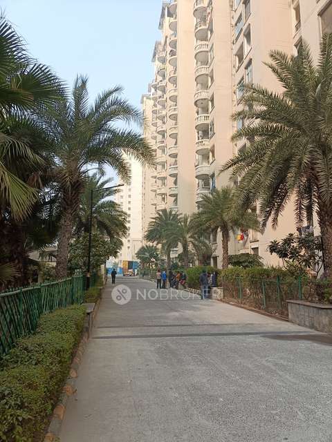 3 BHK Flat In Amrapali Silicon City For Sale  In  Sector 76