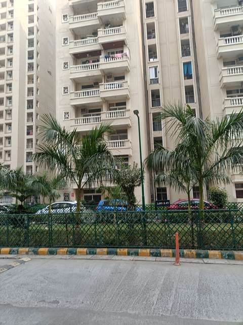 3 BHK Flat In Amrapali Silicon City For Sale  In  Sector 76