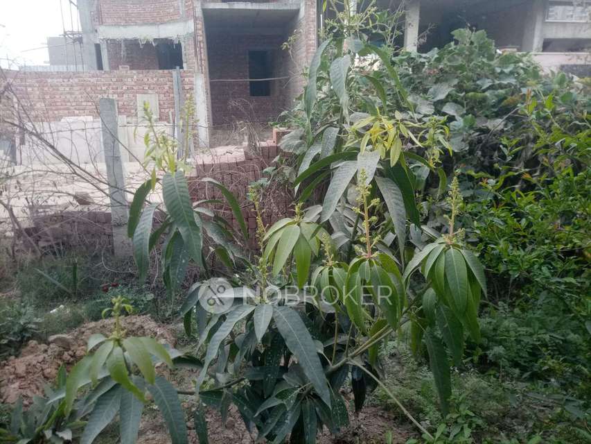 Plot For Sale  In Roza Yakubpur