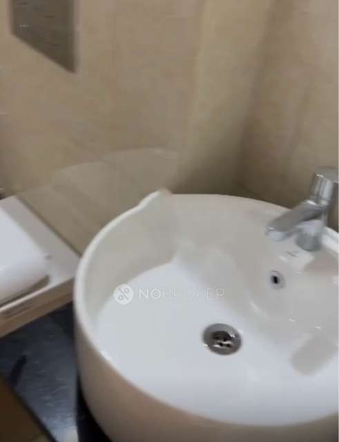 1 BHK Flat In Shapoorji Pallonji Yahavi  For Sale  In Yahavi T2 - Pine