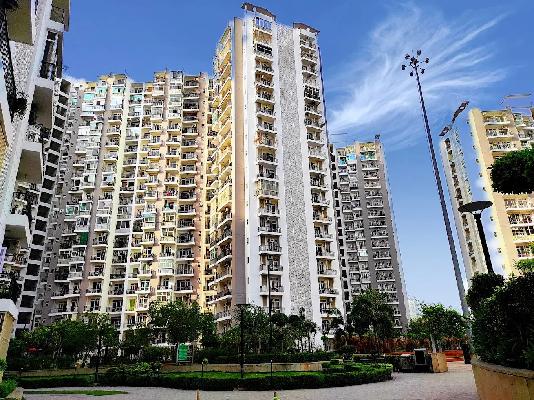 Single Room for Male In 3 BHK  In Prateek Wisteria In Sector 77