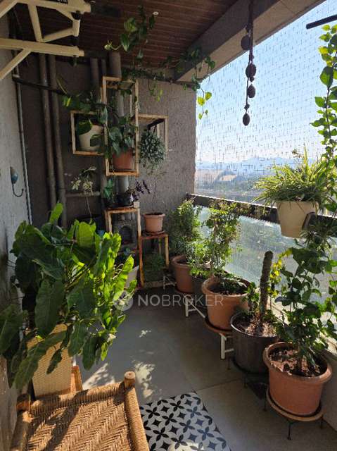 4 BHK Flat In Wisdom Park For Sale  In Wisdom Park, 7 Avenues Block-7, 29, Exit To Baner Rd, Opposite Hotel Holiday Inn, Patil Nagar, Balewadi, Pune, Maharashtra 411045, India