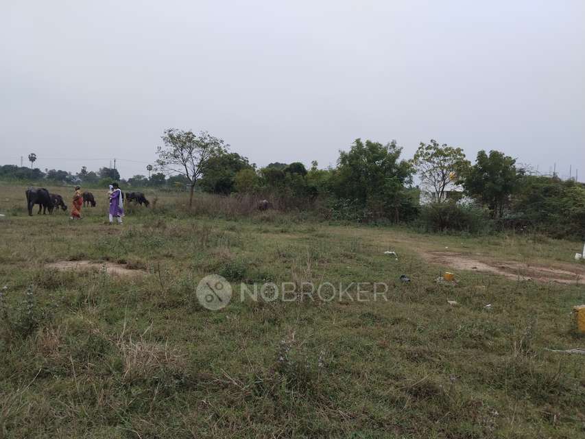 Plot For Sale  In Red Hills