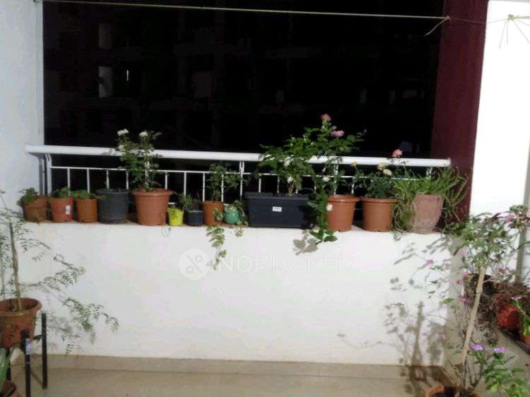 2 BHK Flat In Kunal Iconia for Rent  In Smita Chandra, Kunal Iconia, St Tukaram Nagar, Mamurdi, Dehu Road, Pimpri-chinchwad, Maharashtra 412101, India