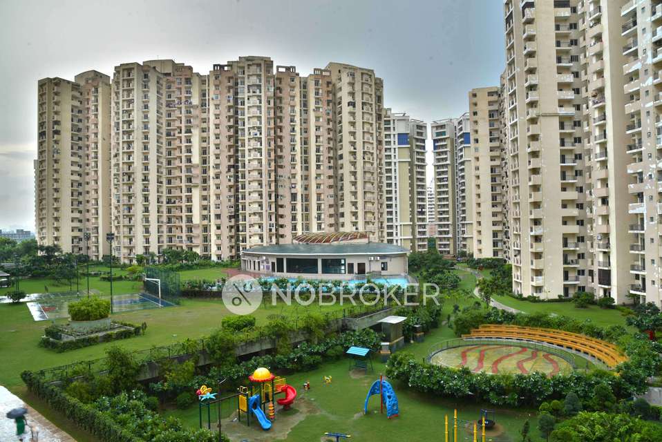 3 BHK Flat In Paramount Floraville for Rent  In Noida Sector 137