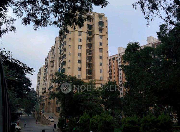 Single Room for Male In 3 BHK  In Platinum City In Platinum City C Block