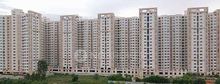 2 BHK Flat In Shriram Greenfields for Rent  In Budigere Cross