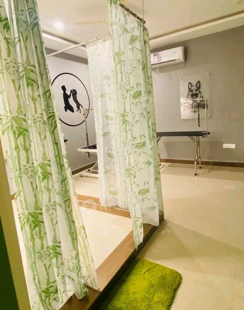 Shop in Tails Of The City, Indiranagar Bangalore: Pet Grooming Salon And Cafe, Bangalore for sale 