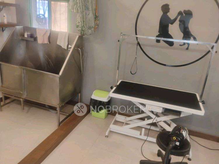 Shop in Tails Of The City, Indiranagar Bangalore: Pet Grooming Salon And Cafe, Bangalore for sale 