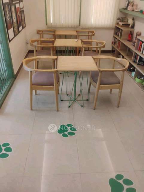 Shop in Tails Of The City, Indiranagar Bangalore: Pet Grooming Salon And Cafe, Bangalore for sale 