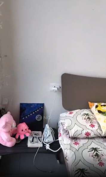 Single Room for Female In 3 BHK  In Godrej Hill Retreat In Mahalunge