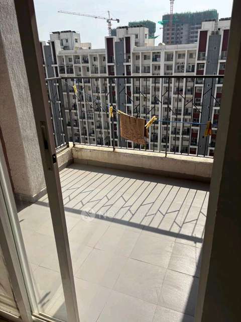 2 BHK Flat In Godrej 24 for Rent  In Hinjawadi