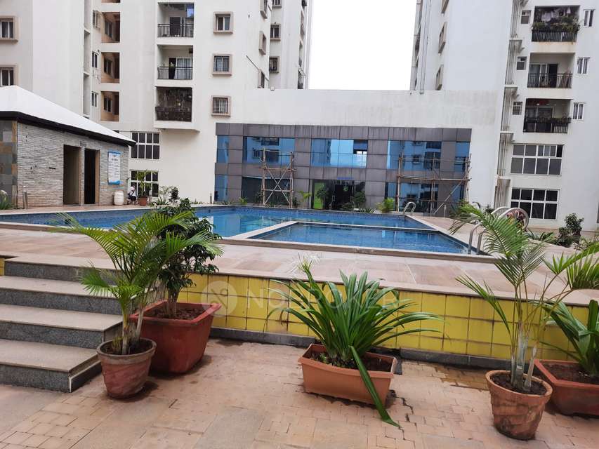 2 BHK Flat In Alpine Fiesta, Whitefield, Bangalore for Rent  In Alpine Fiesta