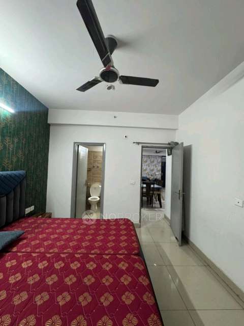 Single Room for Male In 3 BHK  In Ajnara Le Garden In Sector 16