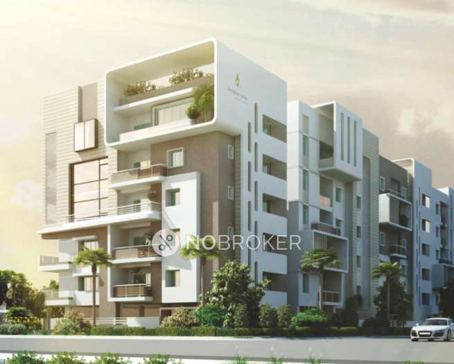 3 BHK Flat In Jd Jubilee Ballpark for Rent  In Jubilee Hills