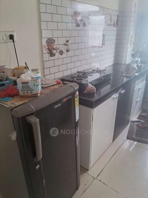 PG for Anyone in Santacruz &#40;west&#41;