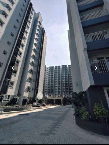 2 BHK Flat In Ds-max Skyshubham for Rent  In Hallehalli