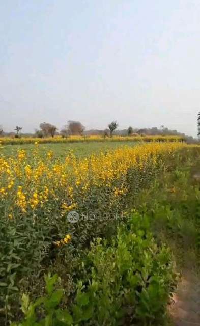 Plot For Sale  In Alibag