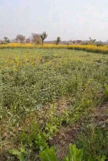 Plot For Sale  In Alibag