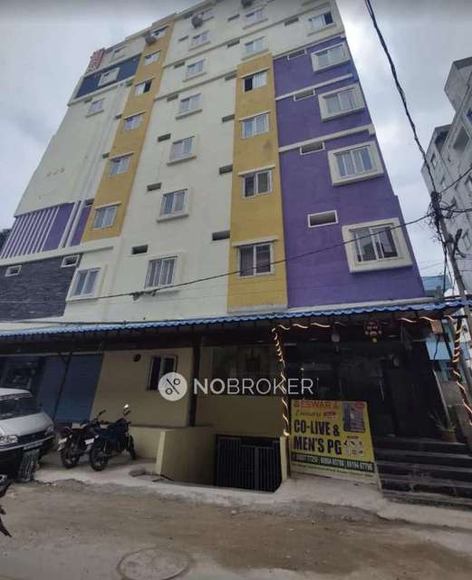 PG for Anyone in Hafeezpet