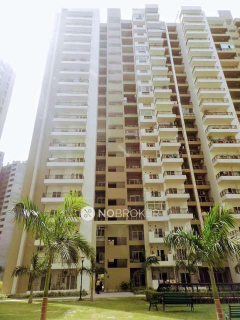 3 BHK Flat In Gulshan Ikebana For Sale  In Sector 143