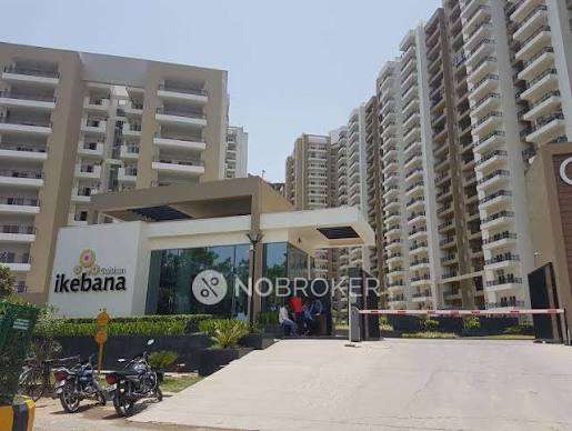 3 BHK Flat In Gulshan Ikebana For Sale  In Sector 143