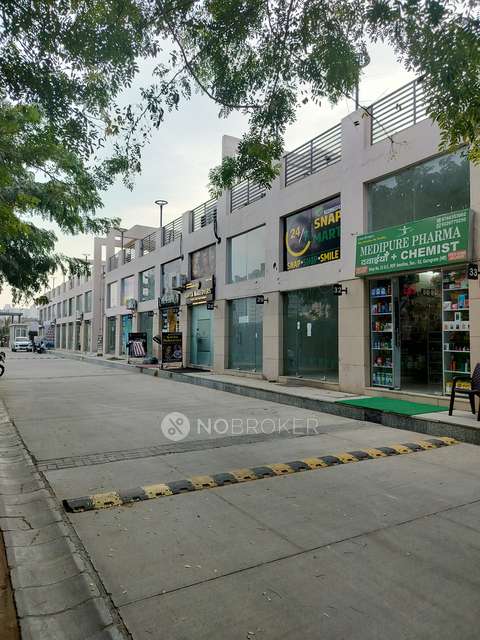 2 BHK Flat In Rof Amaltas For Sale  In Sector 91