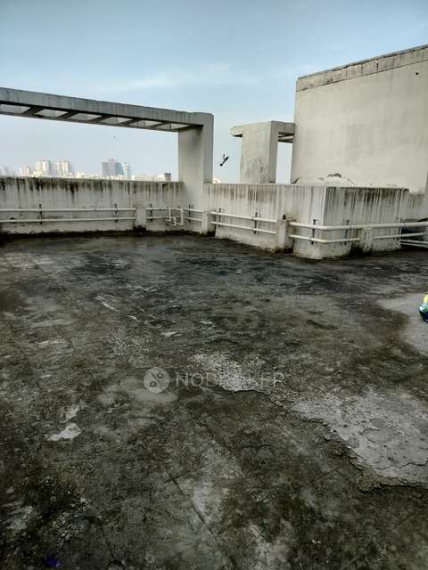 2 BHK Flat In Rof Amaltas For Sale  In Sector 91