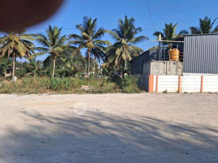 Plot For Sale  In Sampigehalli