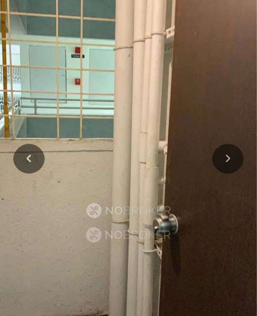 1 BHK Flat In Paranjape Forest Trails for Rent  In Bhugaon, Pune, Pune