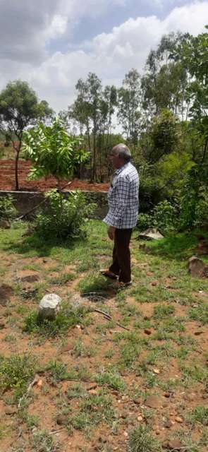 Plot For Sale  In Bannikuppe