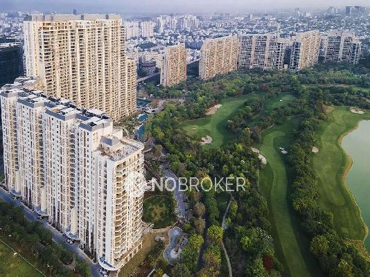 4+ BHK Flat In Dlf The Dahlias For Sale  In Sector 54