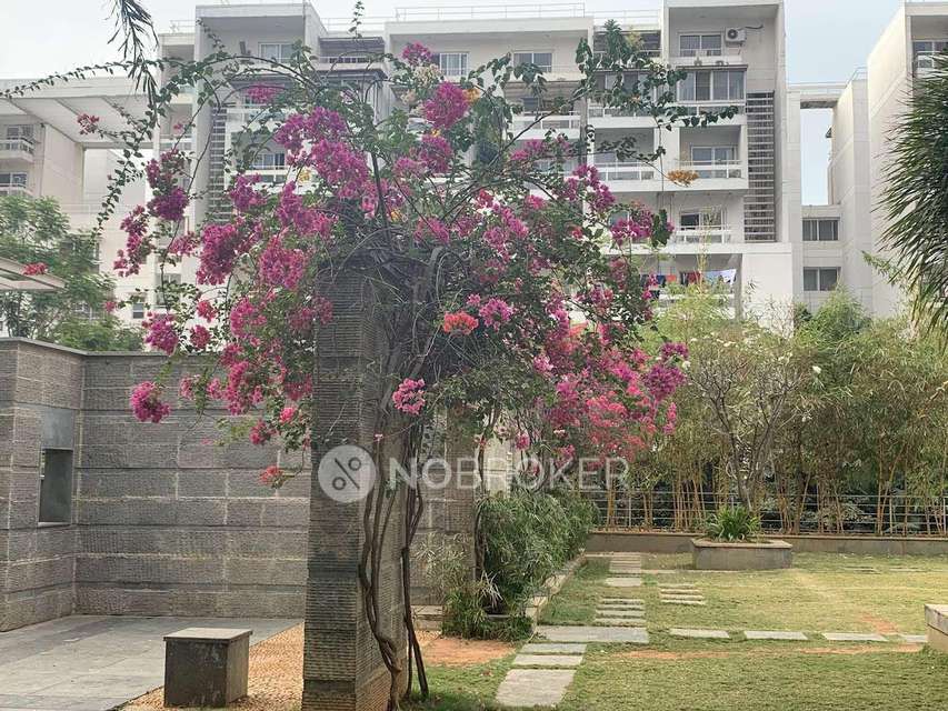 3 BHK Flat In Rohan Jharoka For Sale  In Bellandur