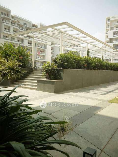 3 BHK Flat In Rohan Jharoka For Sale  In Bellandur