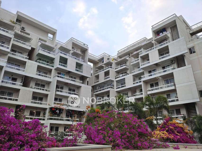 3 BHK Flat In Rohan Jharoka For Sale  In Bellandur