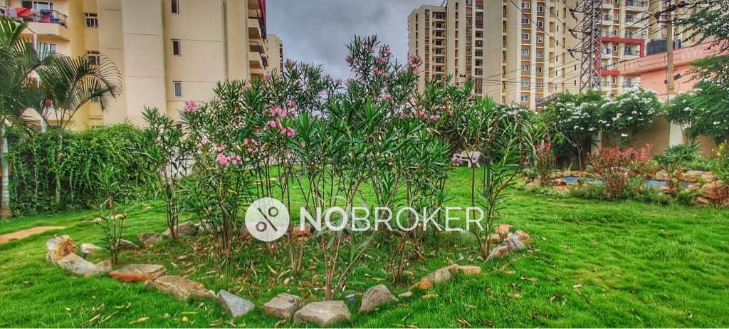 2 BHK Flat In Mjr Clique Hydra for Rent  In Electronic City