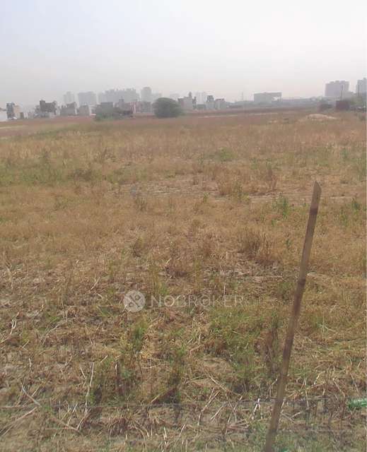 Plot For Sale  In Dhankot