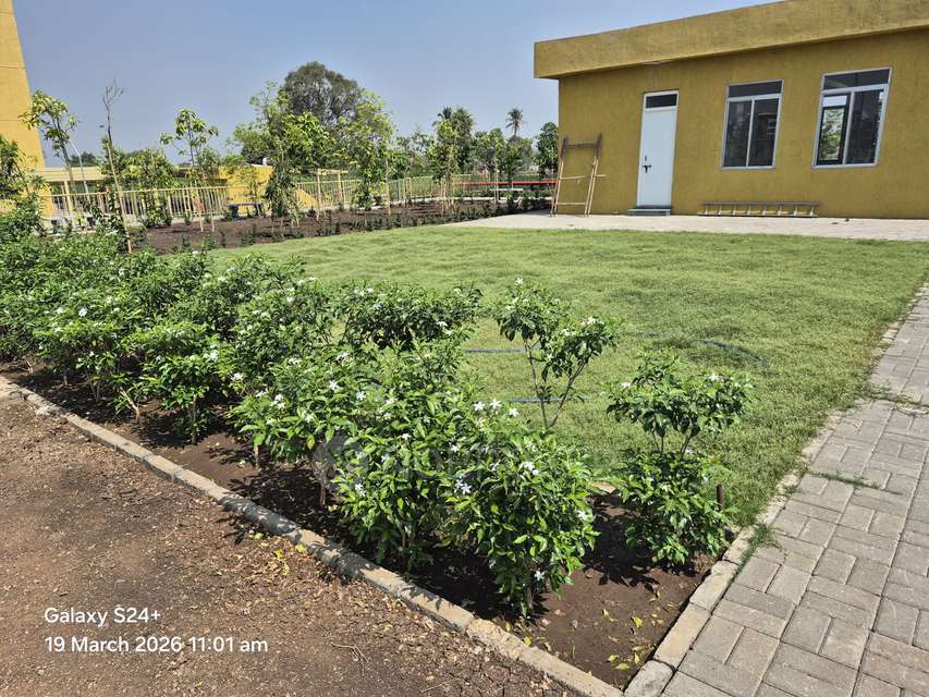 1 BHK Flat In Skylark Apartments Rvr 7a  for Rent  In Loni Kalbhor