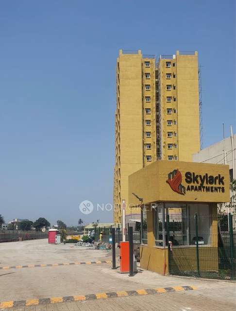 1 BHK Flat In Skylark Apartments Rvr 7a  for Rent  In Loni Kalbhor