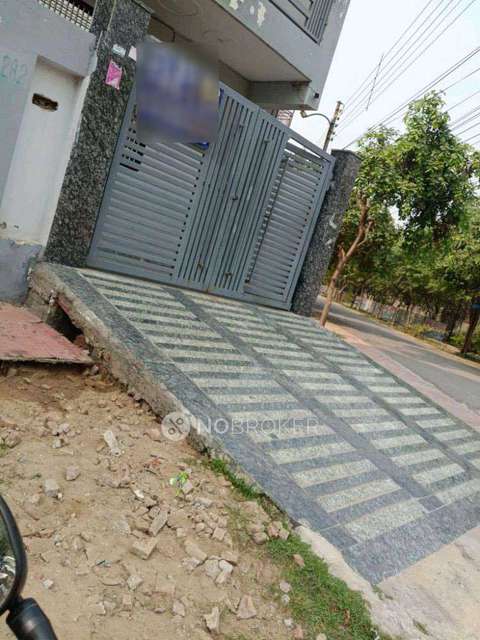 PG for Anyone in Sector 63 A